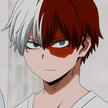todoroki (bnha)